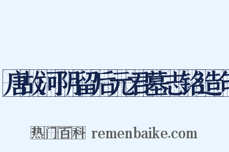 唐故河阴留后元君墓志铭造句是什么意思的图片